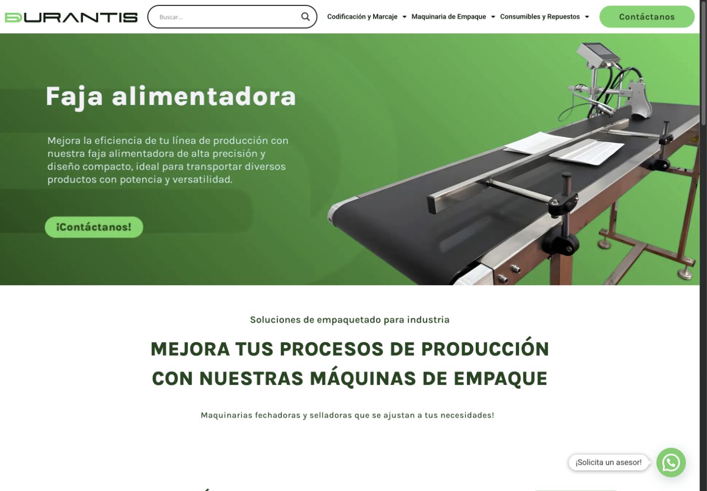 Captura del proyecto Durantis